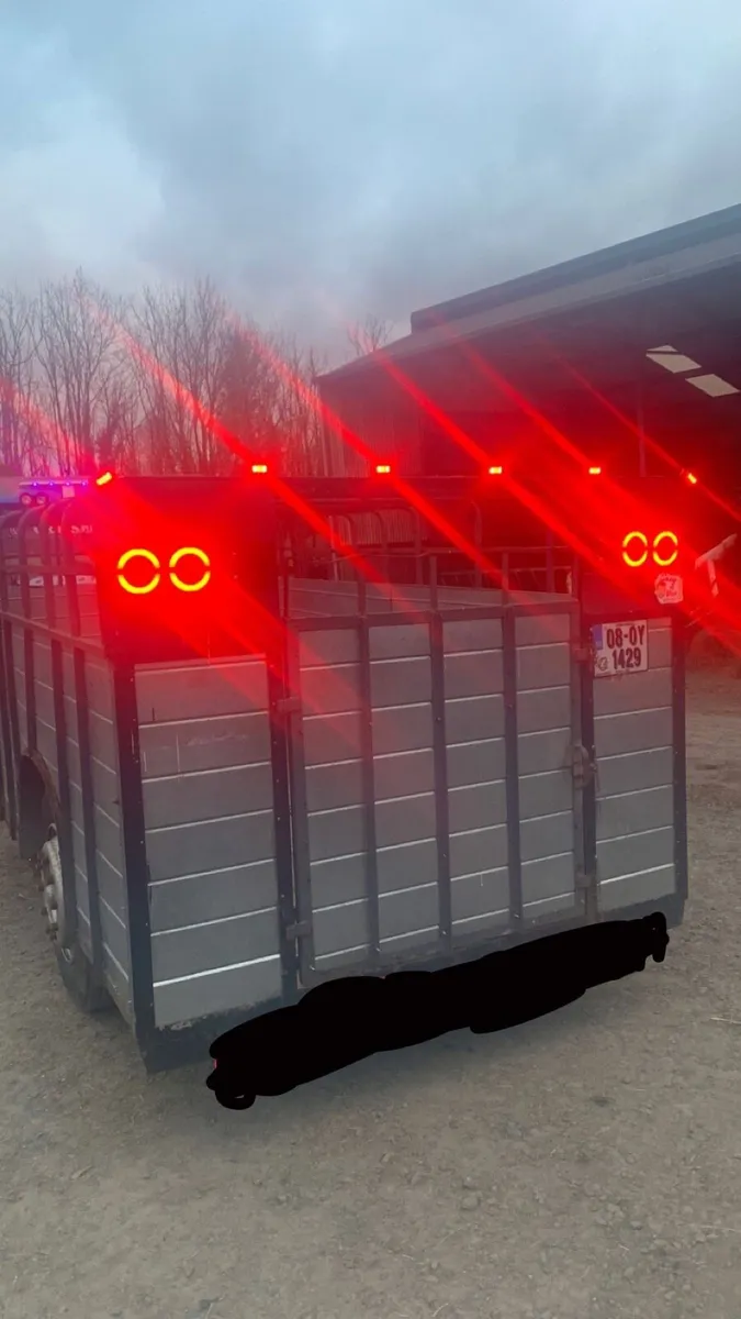Cattle trailer - Image 2