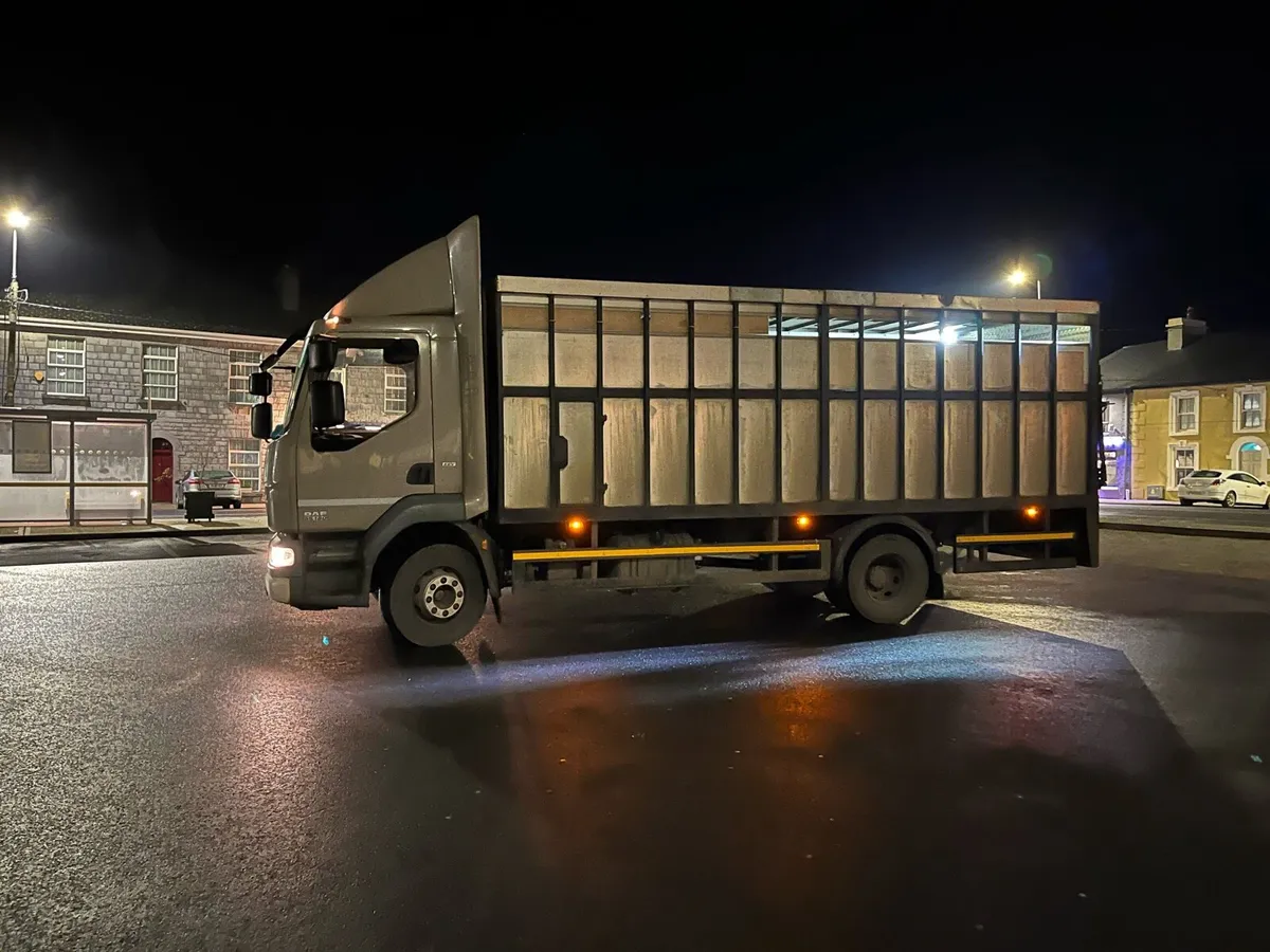 UP UP & AWAY @ Parkmore Calf Farm - Image 2