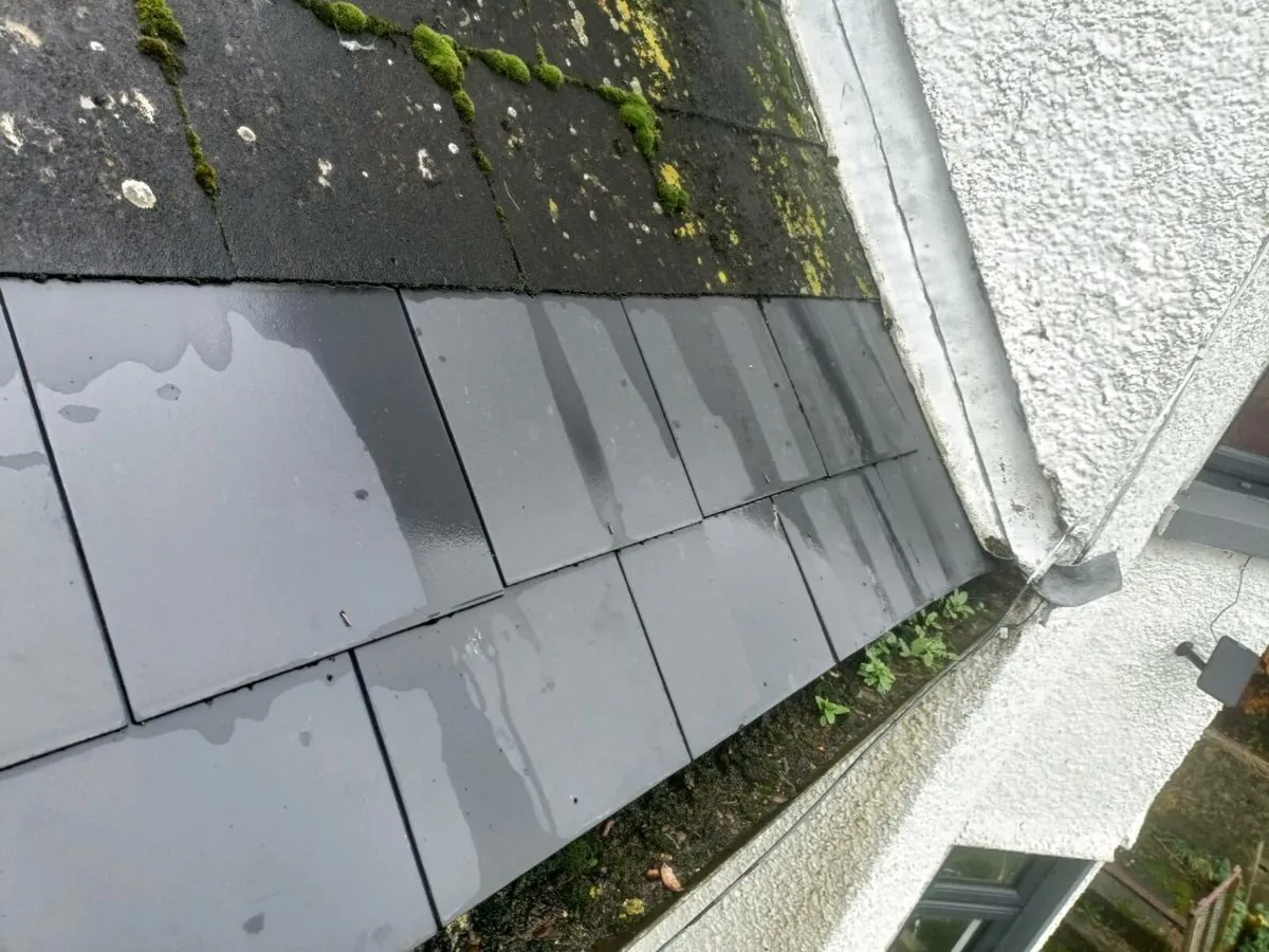 Midland Home Maintenance And Renovations - Image 3