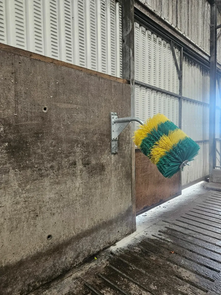 Alfco Cow Brush - Image 4