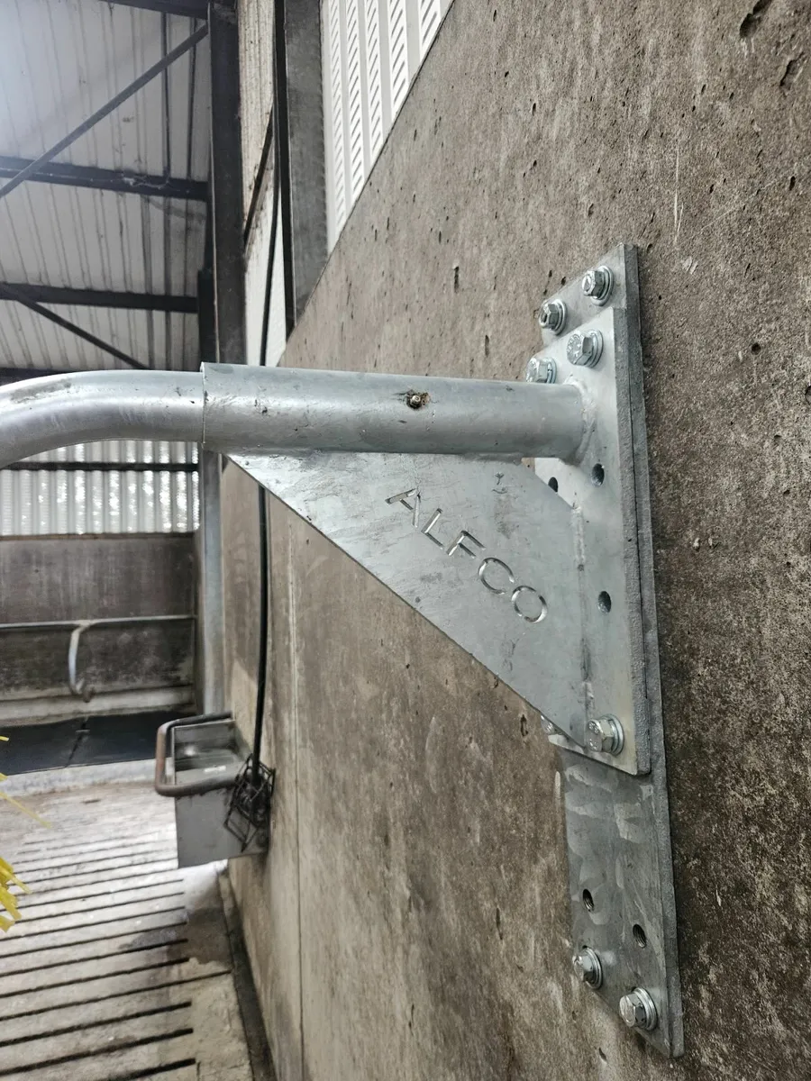 Alfco Cow Brush - Image 4