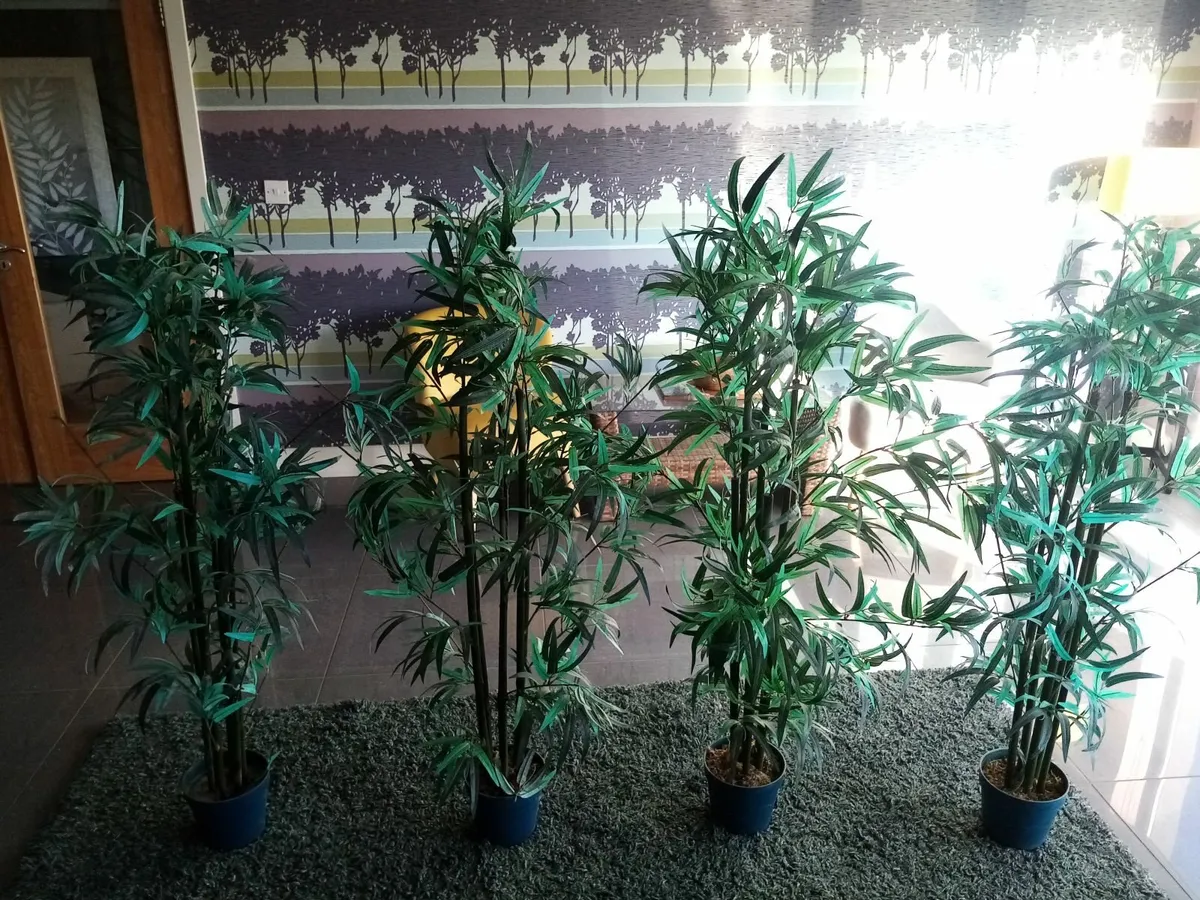 Artificial plants - Image 2