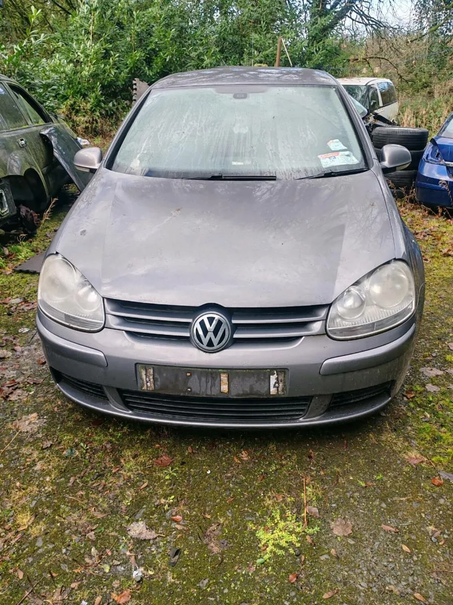 VW Golf 2008 TDI - Image 1