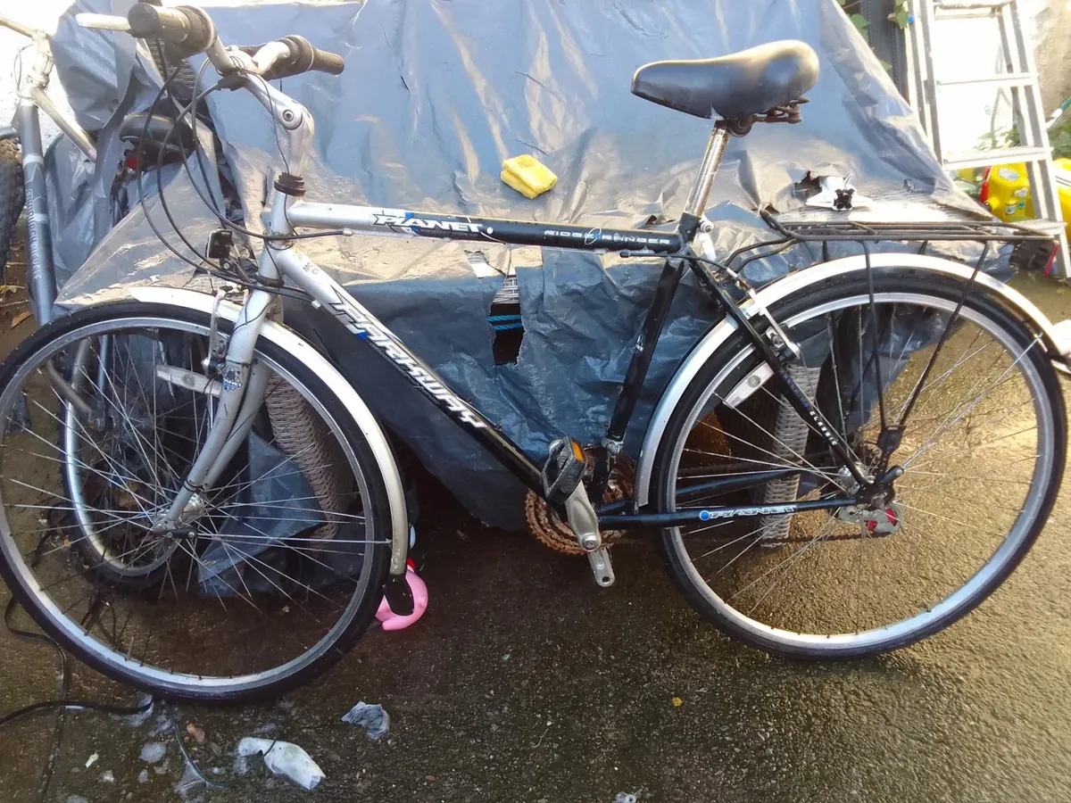 adult bike for sale