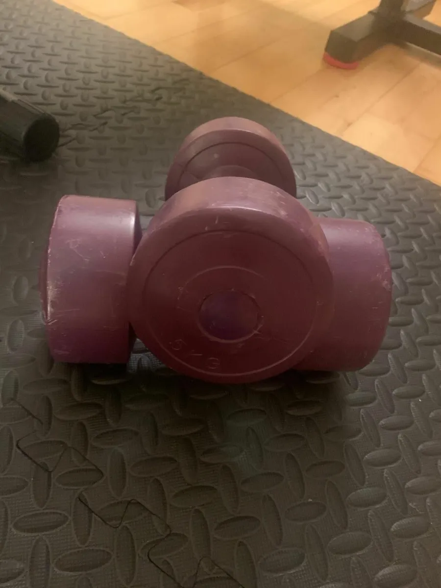 Squat rack, weights, bar, dumbbells - Image 2