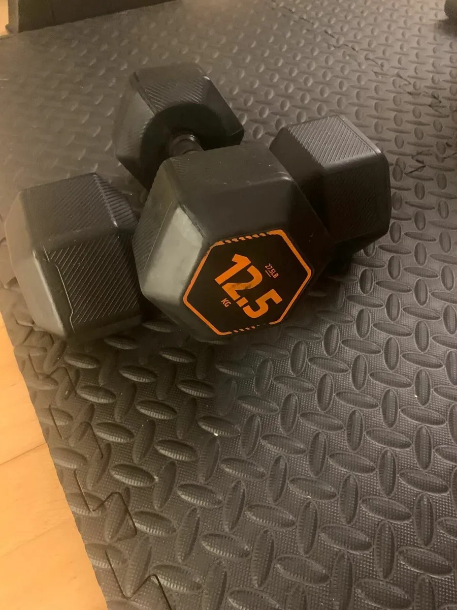 Squat rack, weights, bar, dumbbells - Image 3