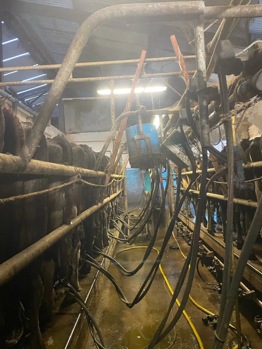 20 unit Milking parlour - Image 1