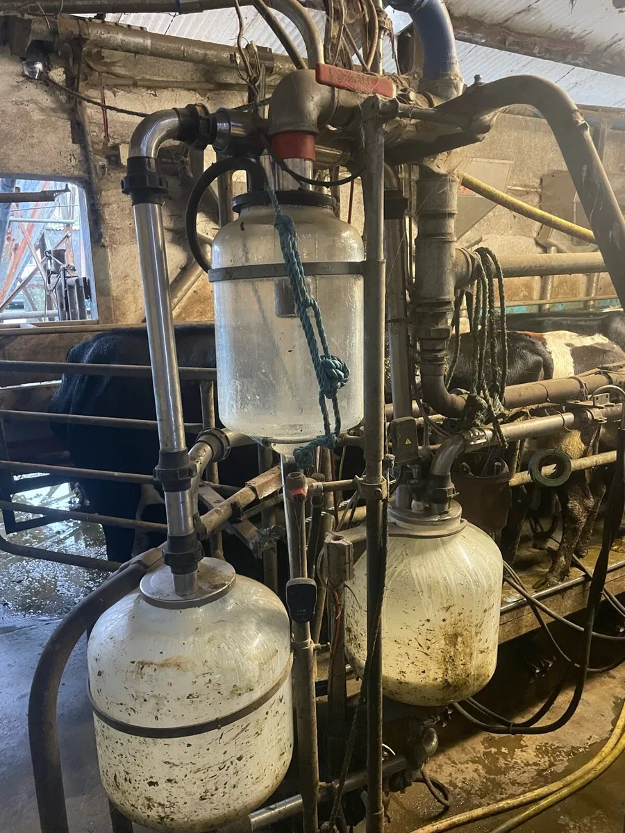 20 unit Milking parlour - Image 2