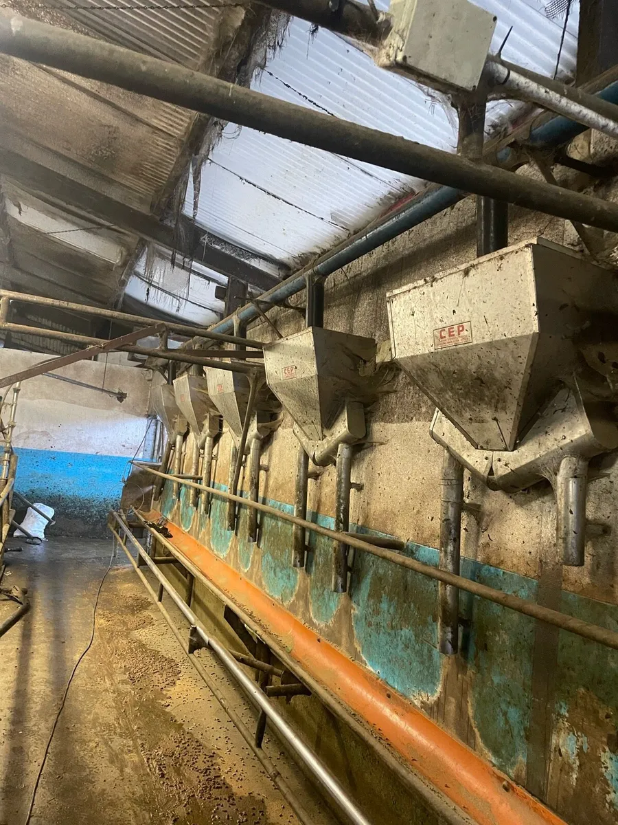 20 unit Milking parlour - Image 4