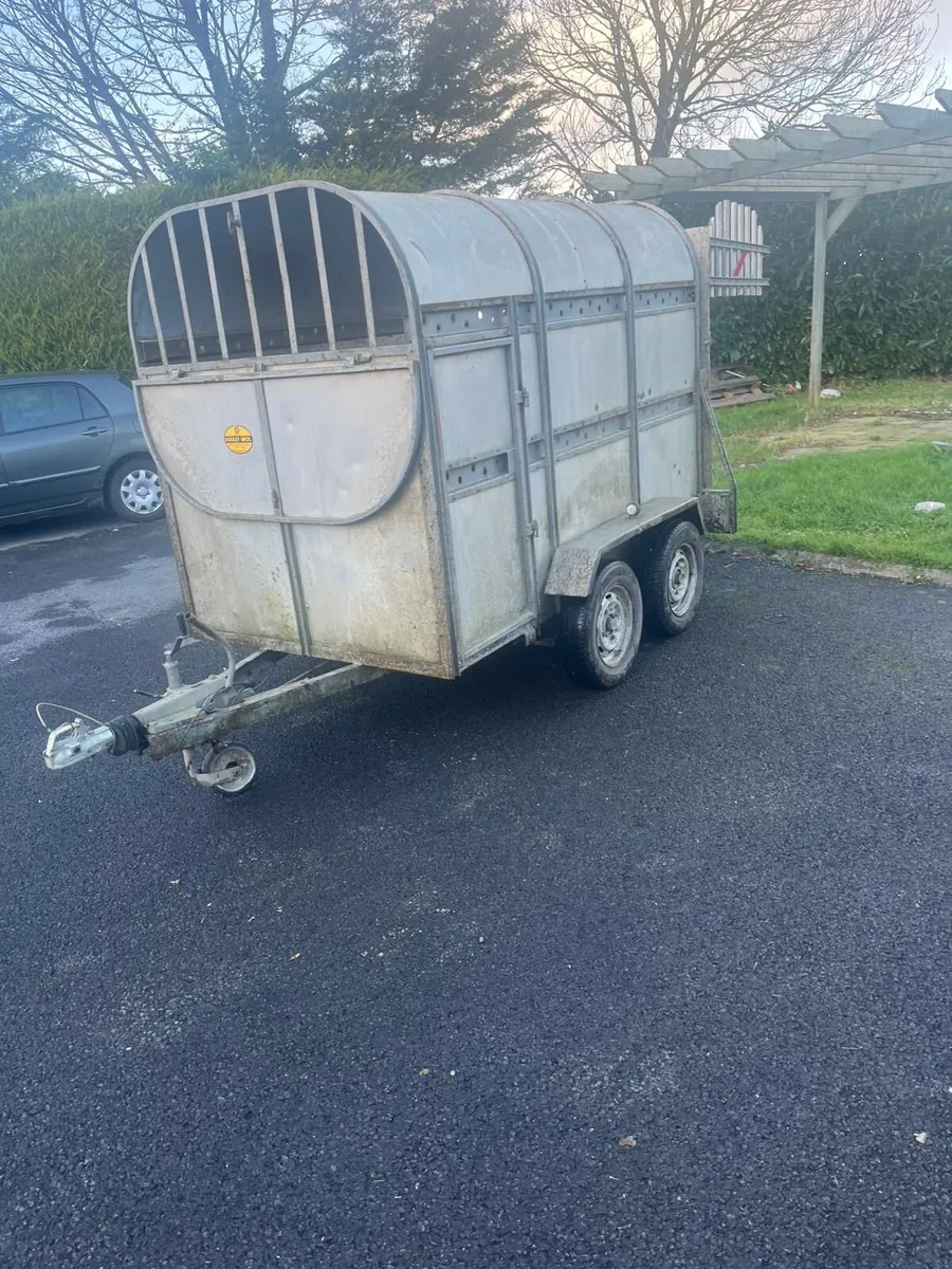 Dooley cattle trailer - Image 1