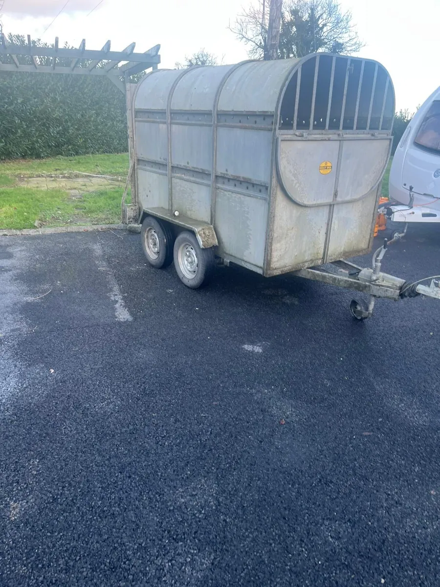 Dooley cattle trailer - Image 2