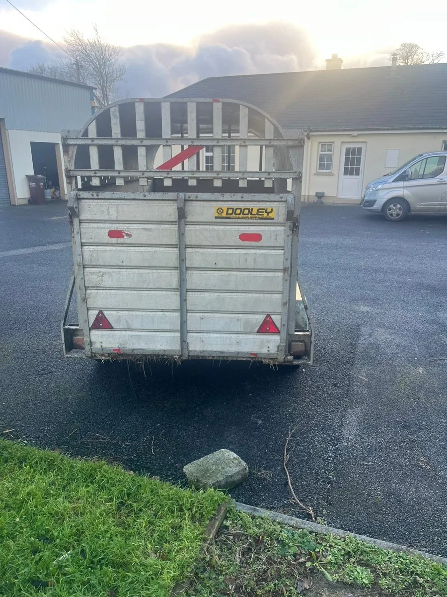 Dooley cattle trailer - Image 3