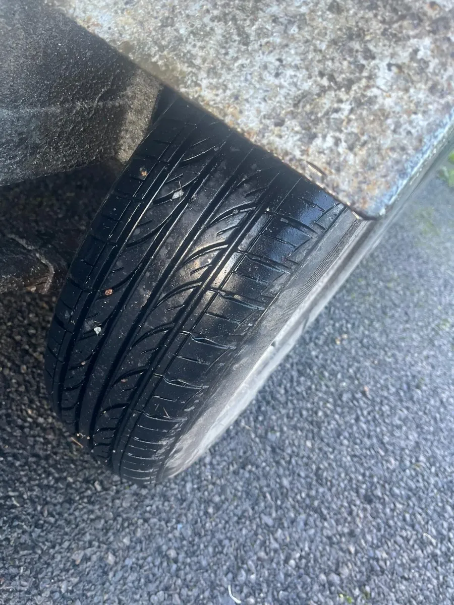 Dooley cattle trailer - Image 4