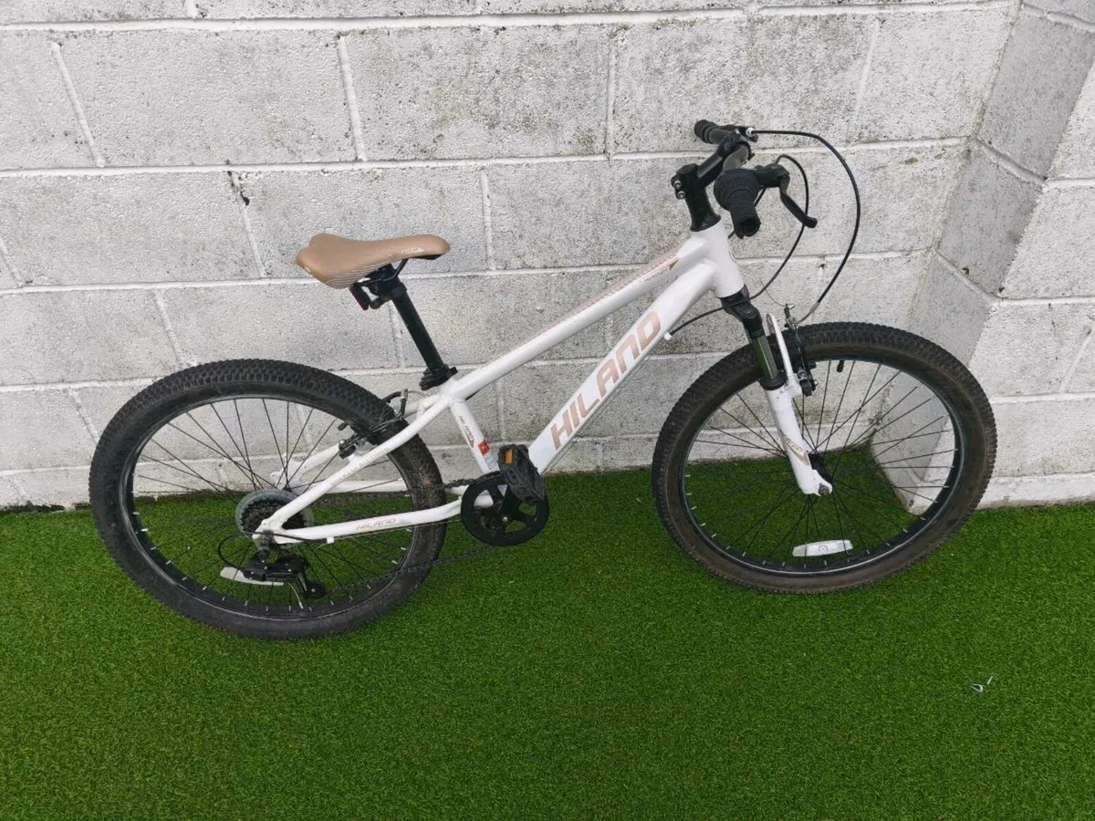 Mountain bike - Image 1