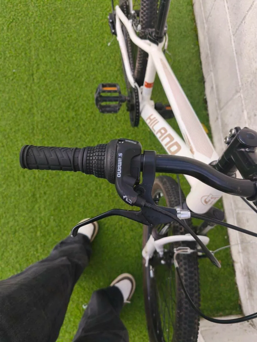 Mountain bike - Image 3