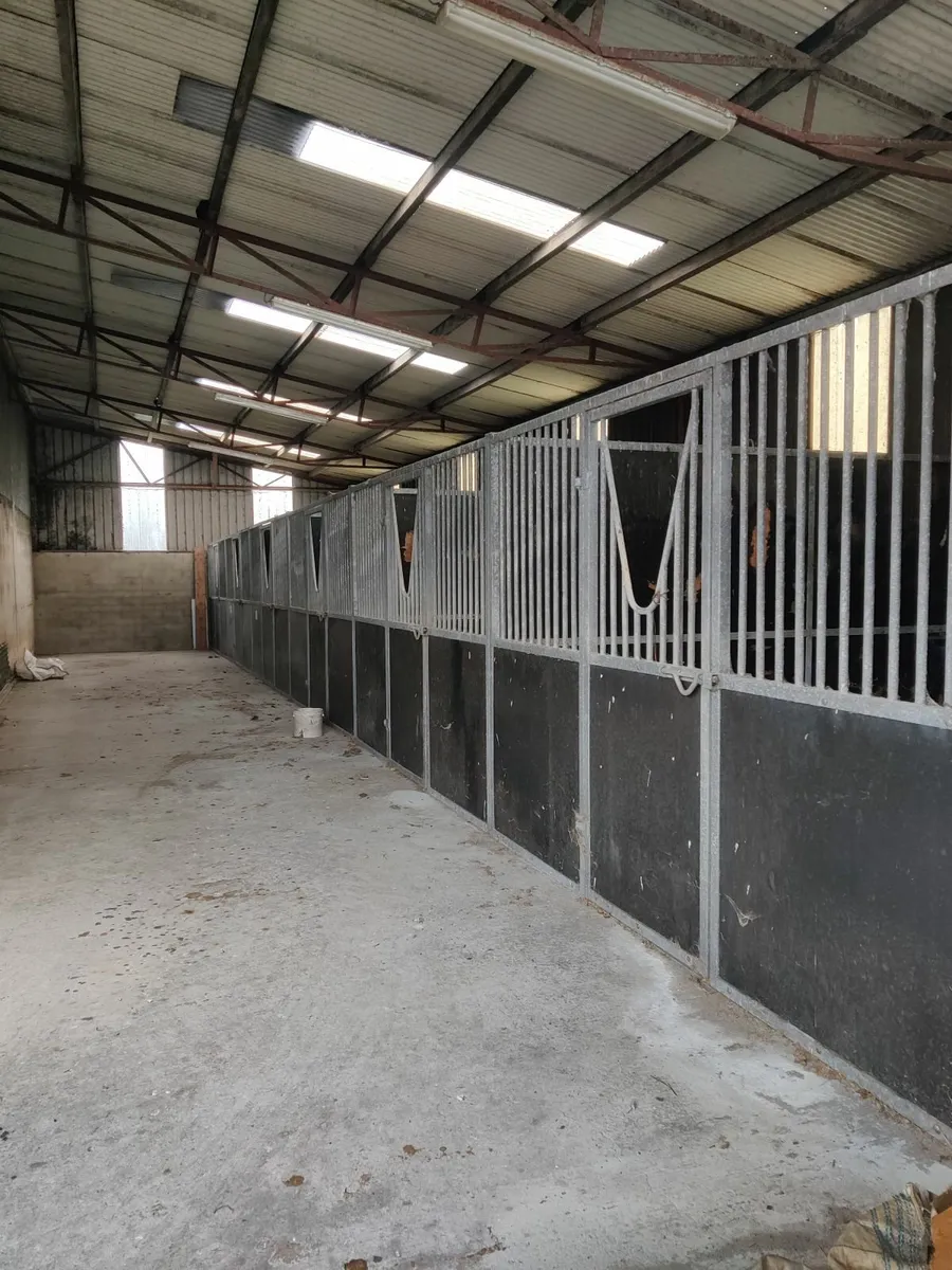 Racing yard with Gallop for rent - Image 1