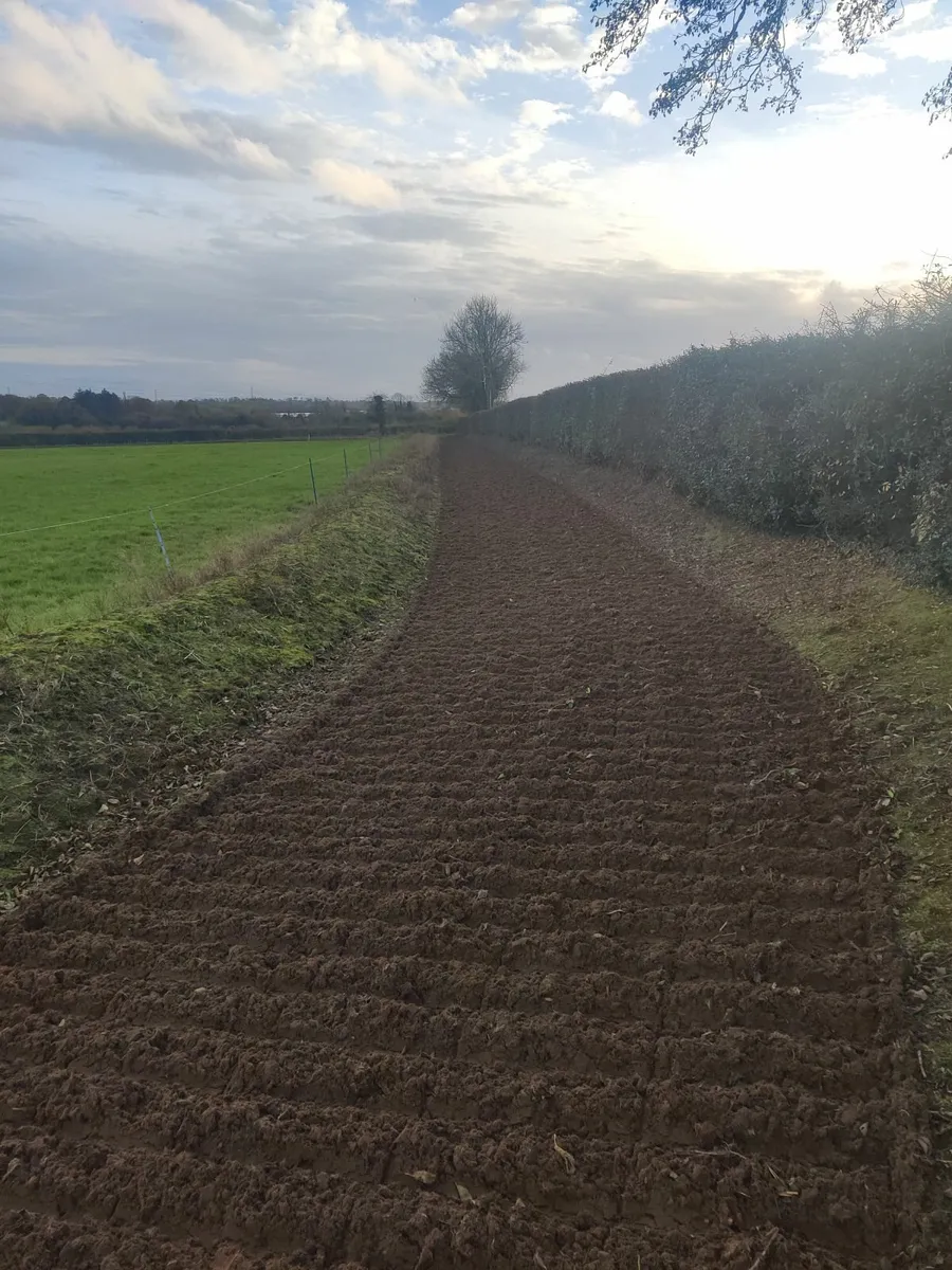 Racing yard with Gallop for rent - Image 2