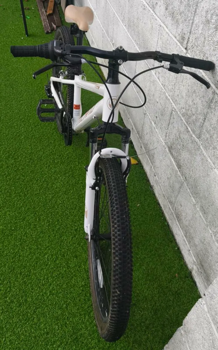 Mountain bike - Image 4