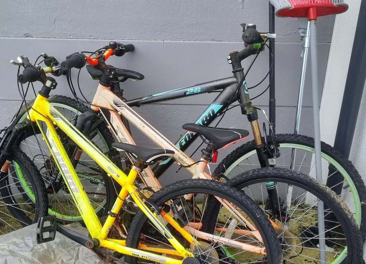 3 Bikes for FREE!