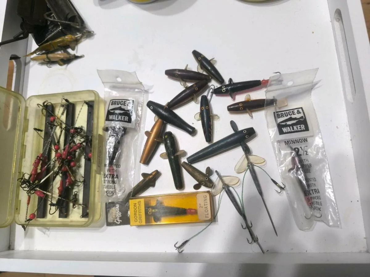 Vintage Devon minnows and mounts in farlow box - Image 1