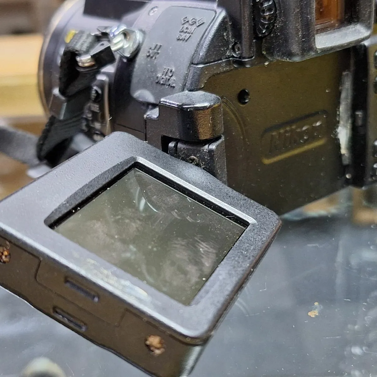 Nikon Coolpix 8700 Bridge Digital Camera – Tested - Image 2