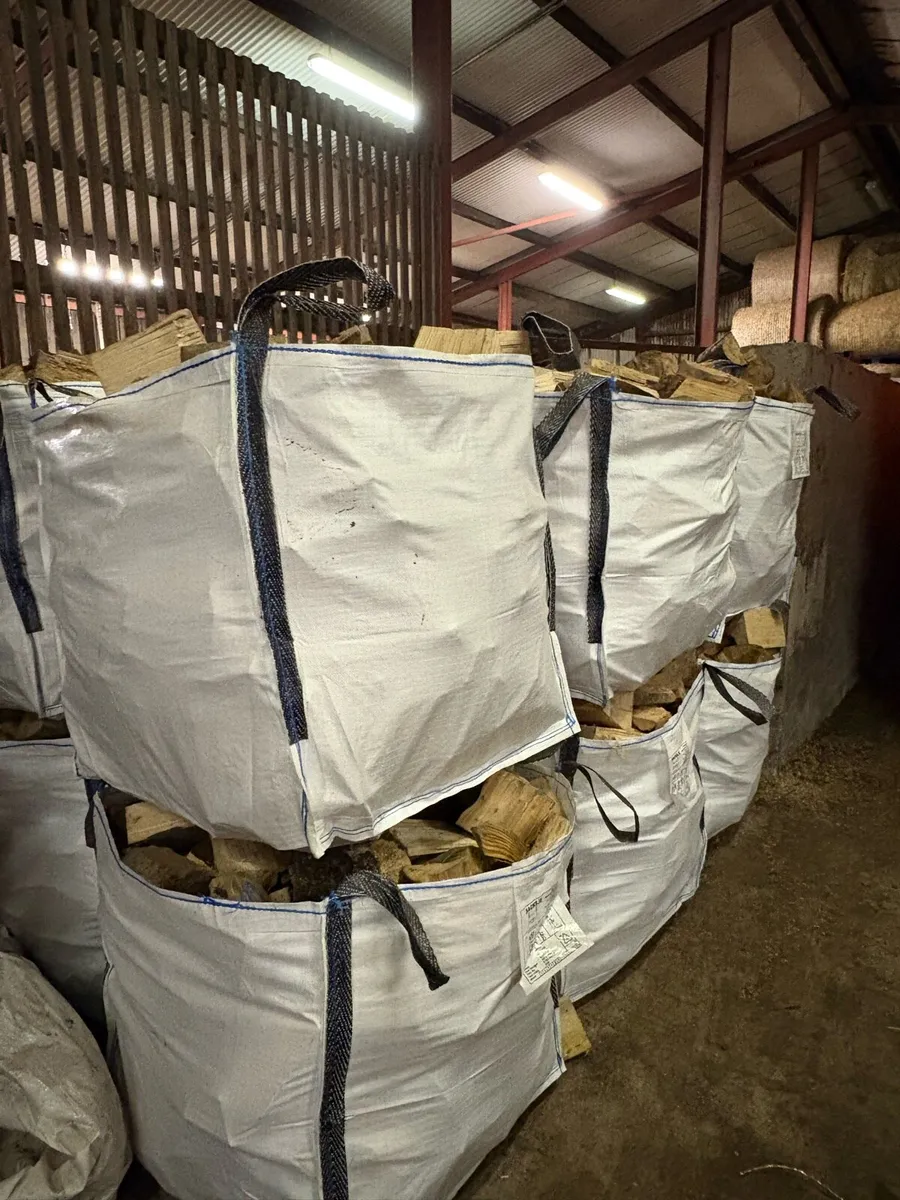 Logs/ firewood - Image 3
