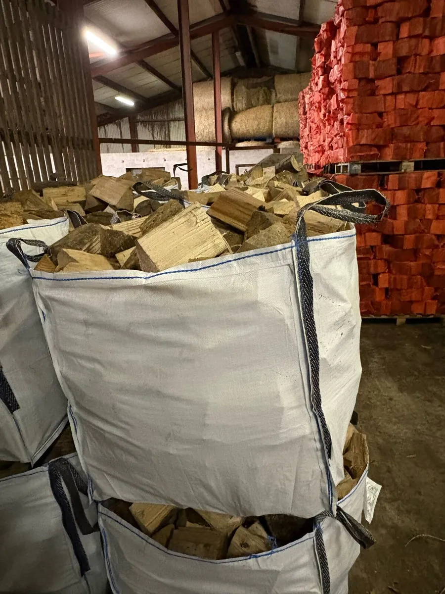 Logs/ firewood - Image 4