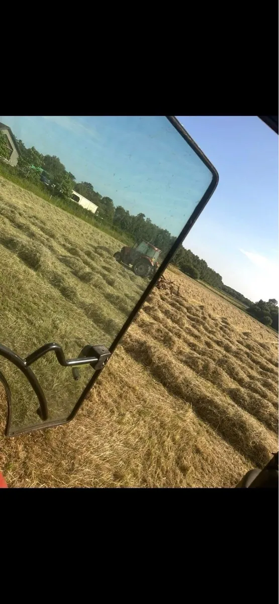 Hay - Image 2