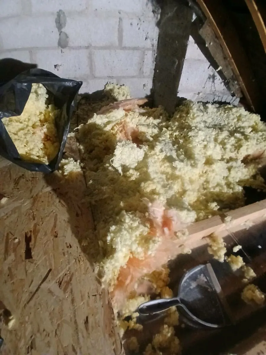 Attic insulation - Image 1