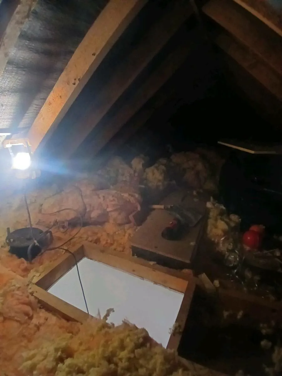 Attic insulation - Image 2
