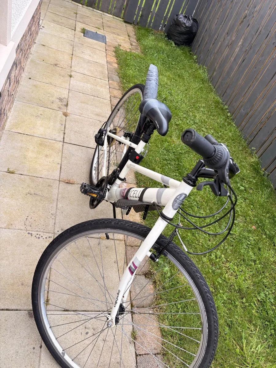 Women bike - Image 2