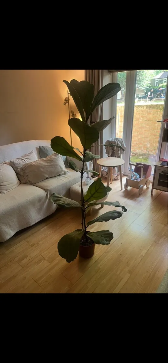 John Lewis Barbican Medium 2 Seater - Image 3