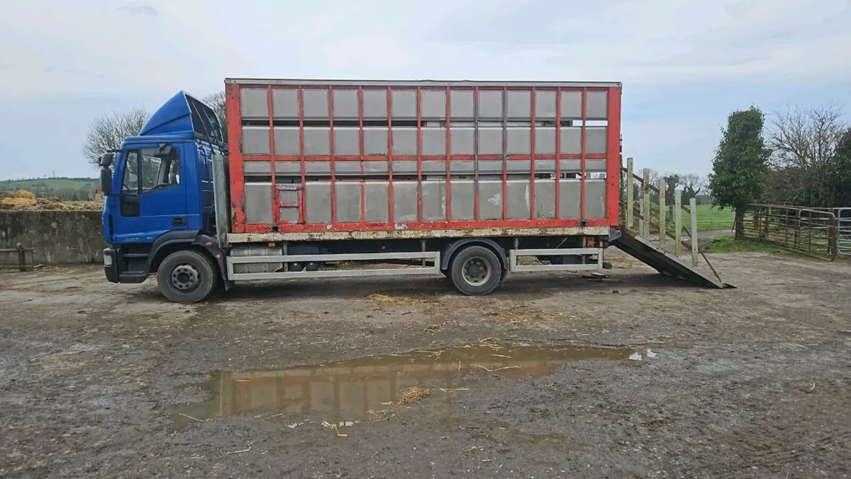 Cattle truck - Image 1