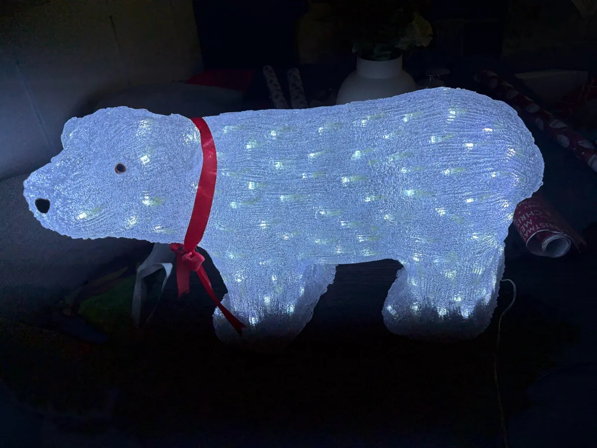 Outdoor polar bear - Image 1