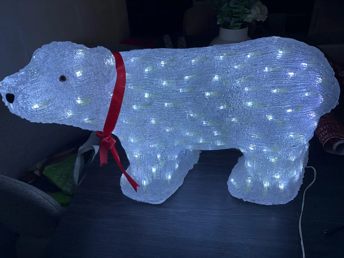 Outdoor polar bear - Image 2