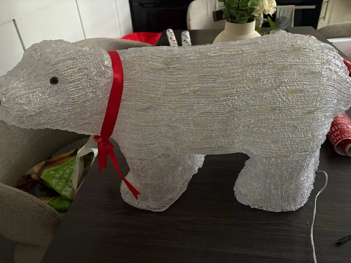 Outdoor polar bear - Image 3