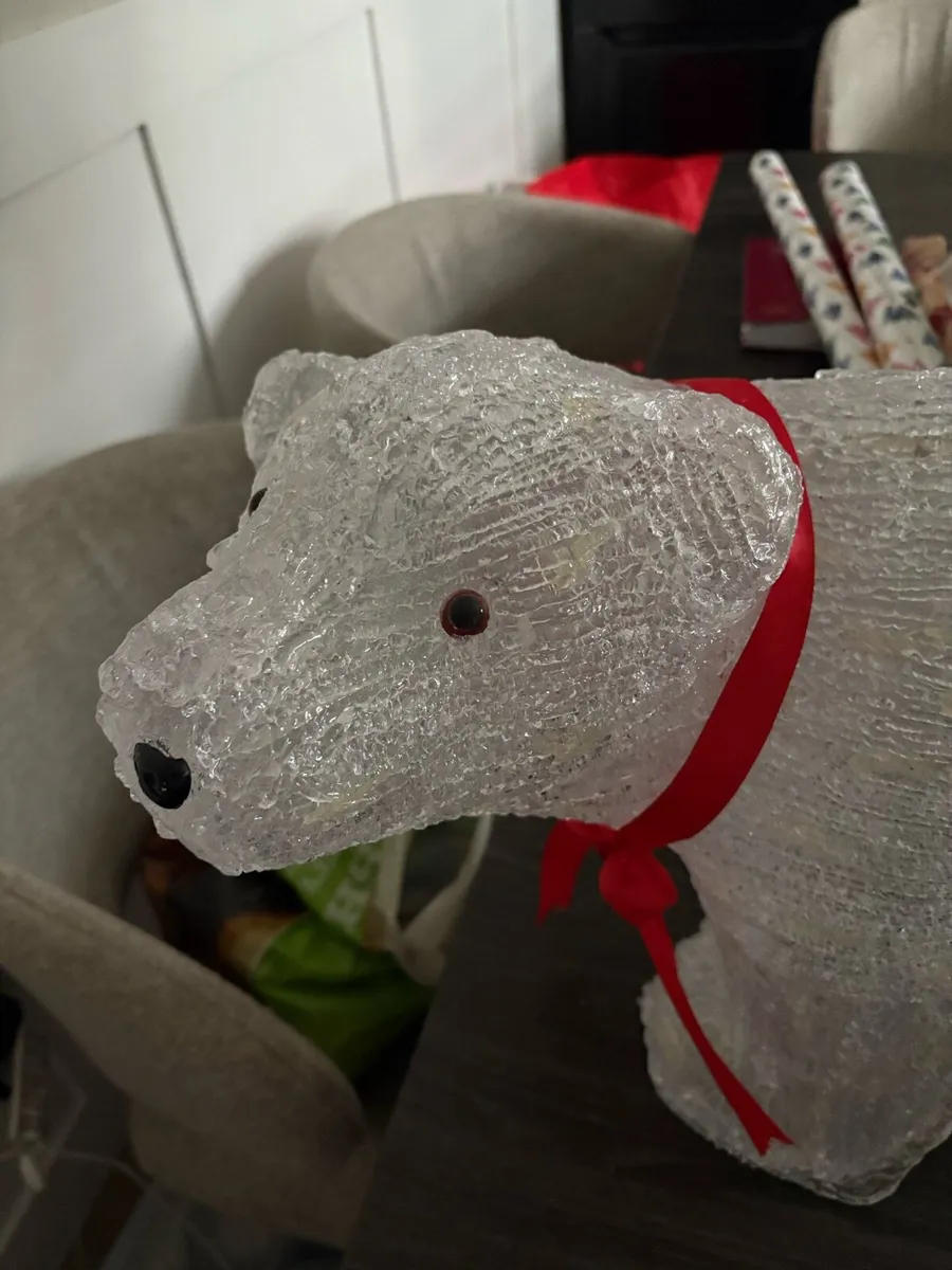 Outdoor polar bear - Image 4