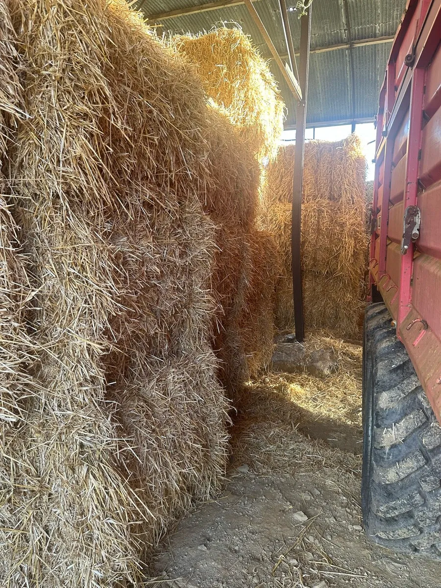 8x4x3 barley straw - Image 1