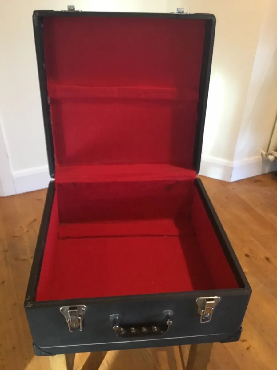 Parrot Piano Accordian - Image 2