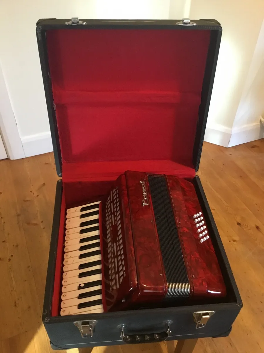 Parrot Piano Accordian - Image 3