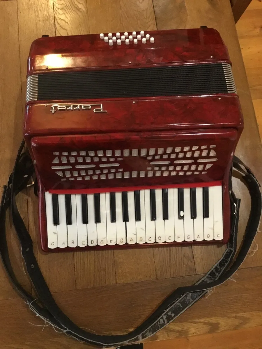 Parrot Piano Accordian - Image 1