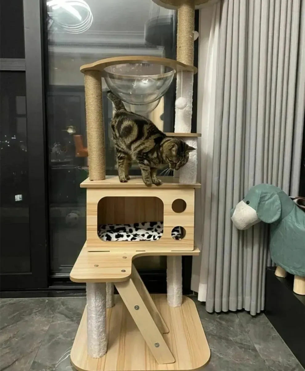 Cat scratcher 138cm brand new