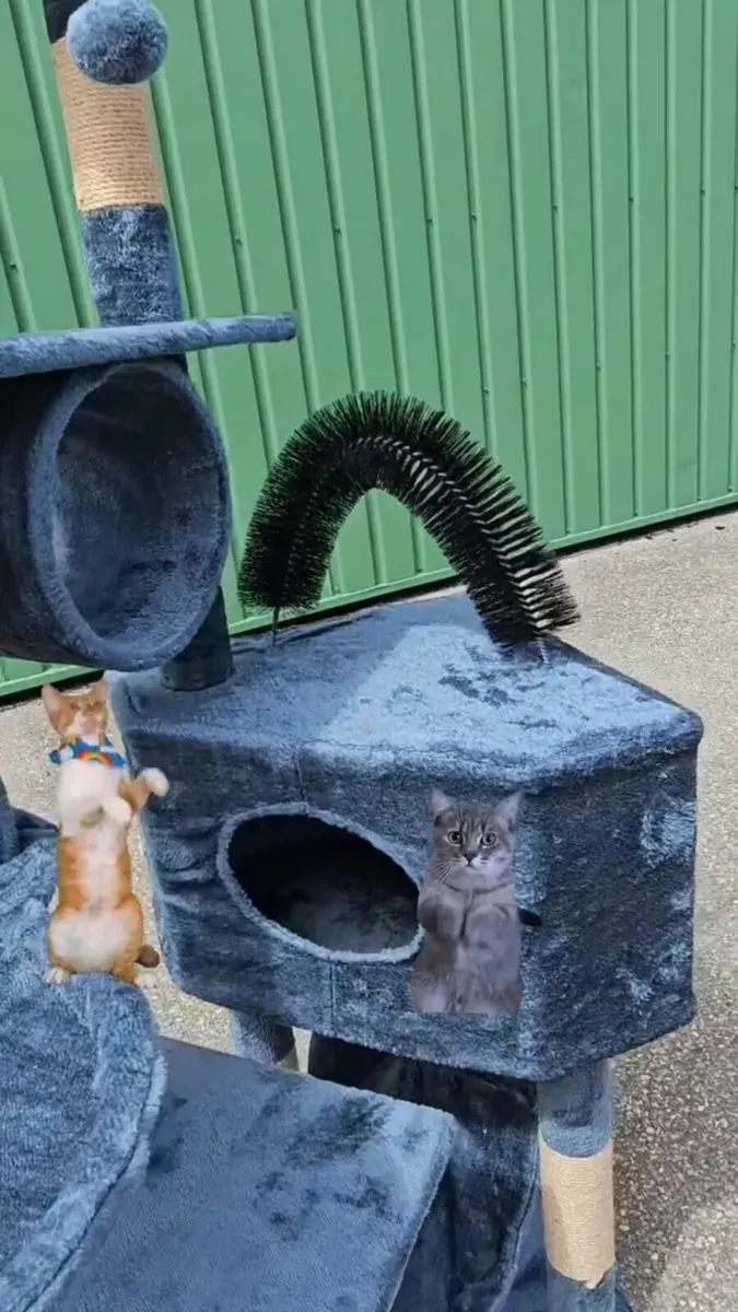 Cat scratcher cat tree brand new - Image 1