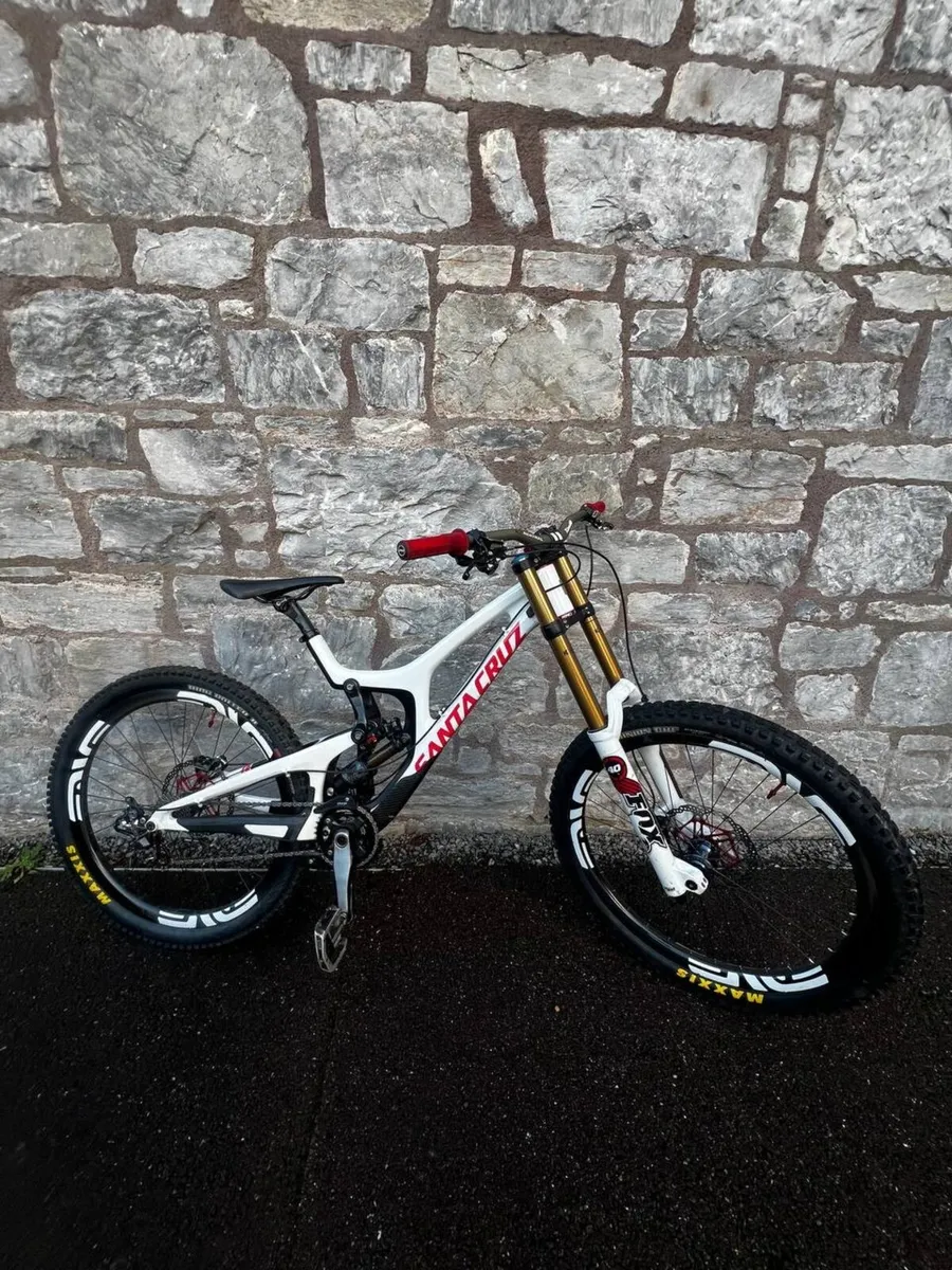 Santa Cruz V10 - Image 1