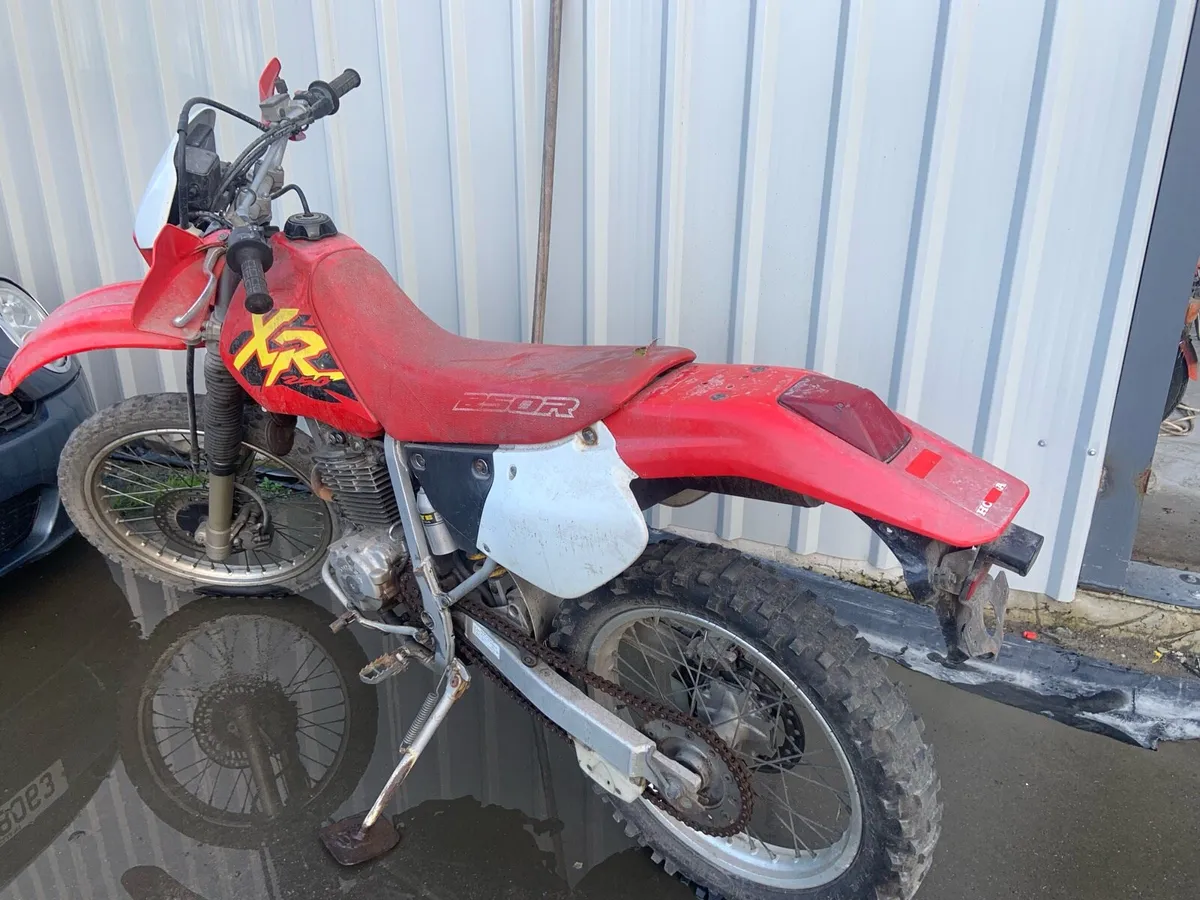Honda xr250 road registered 00 - Image 3
