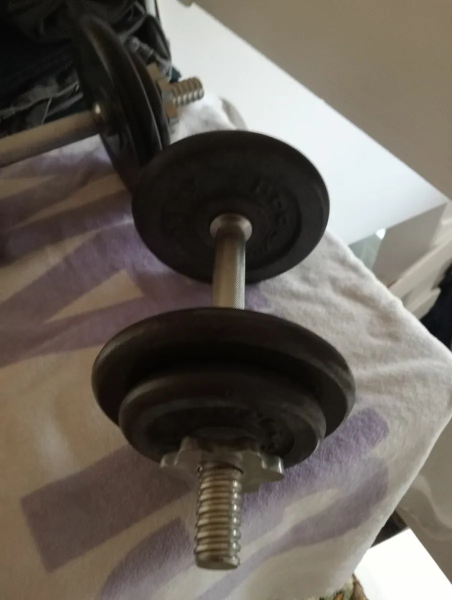 Dumbells and flat Weights Bench - Image 1