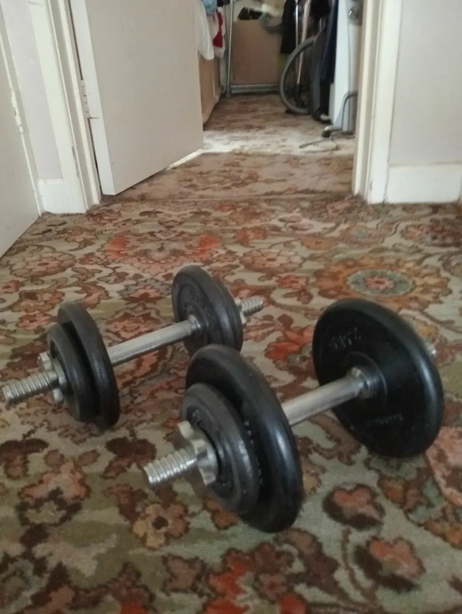 Dumbells and flat Weights Bench - Image 4