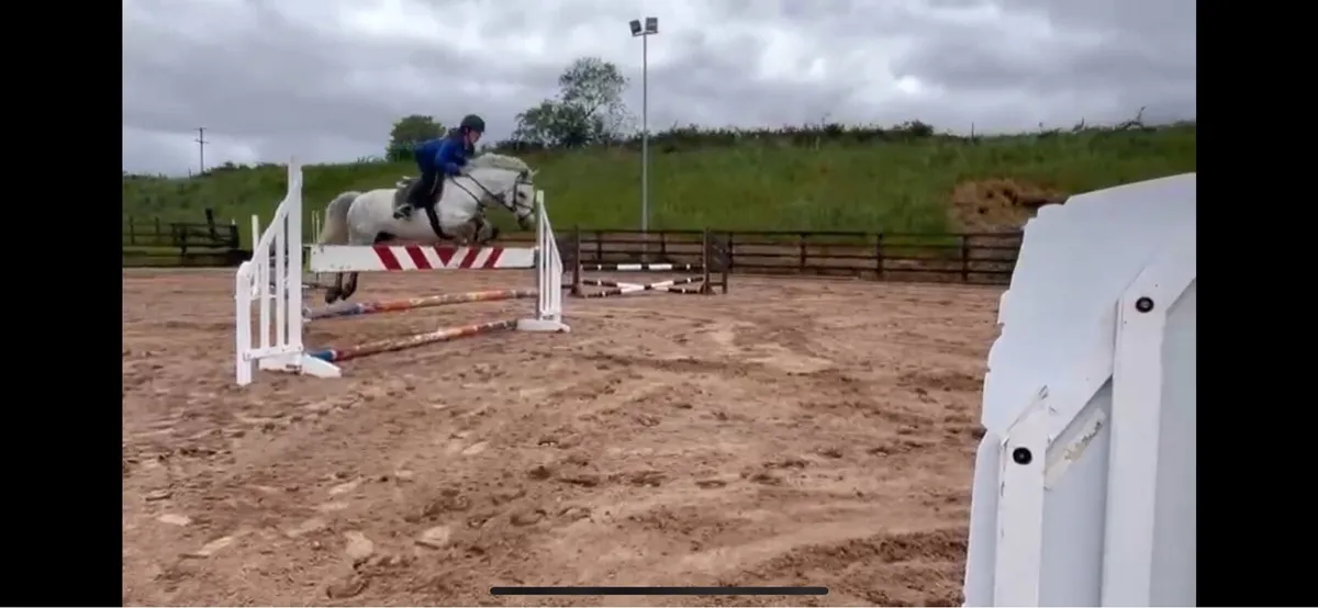 super connemara mare - Image 1