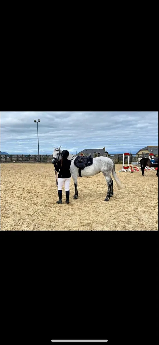 super connemara mare - Image 3