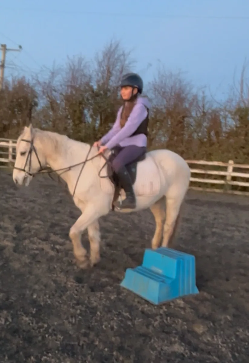 13.2h 16 year old happy hacker